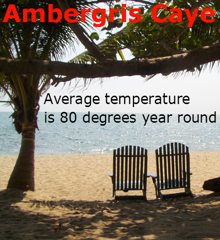 Average Temperature